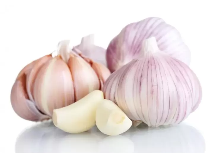 garlic for the treatment of varicose veins in the legs