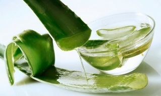 aloe for the treatment of varicose veins