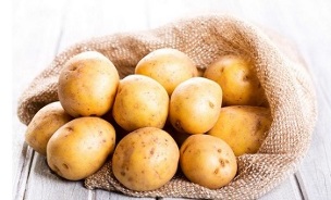 the use of potatoes for the treatment of varicose veins